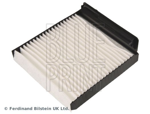 BLPRADN12506