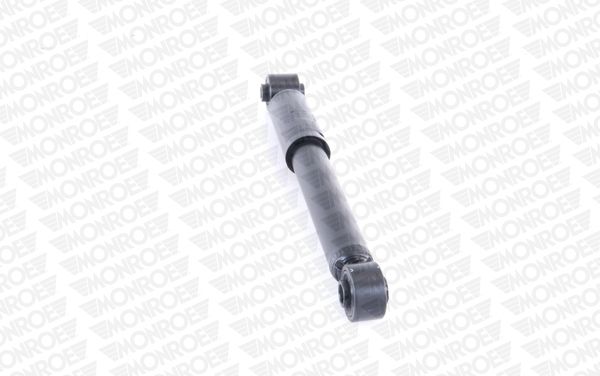 MONRG1119