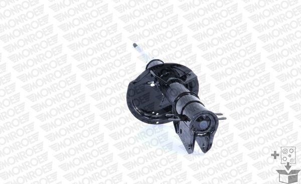 MONRG16725