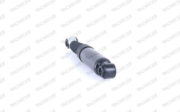 MONRG2223