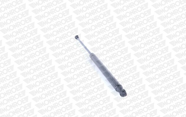 MONRML5101