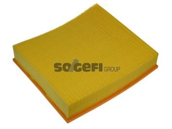 PURFA1029