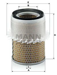 MANNC 16 181