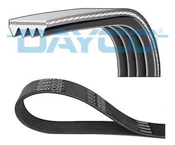 DAYC4PK800