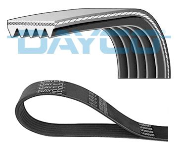 DAYC5PK1175