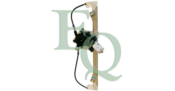 EQ141916
