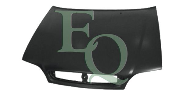 EQL01171
