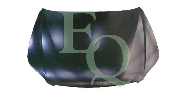 EQL04539