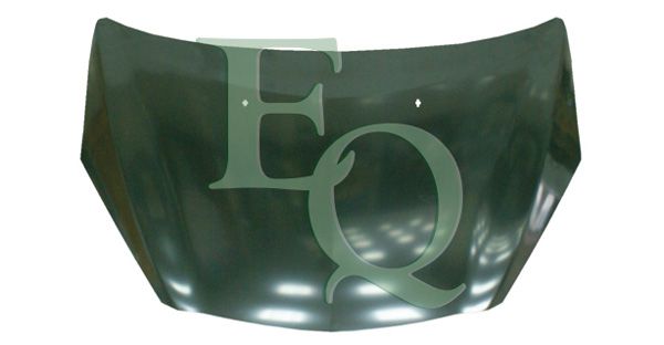 EQL06009
