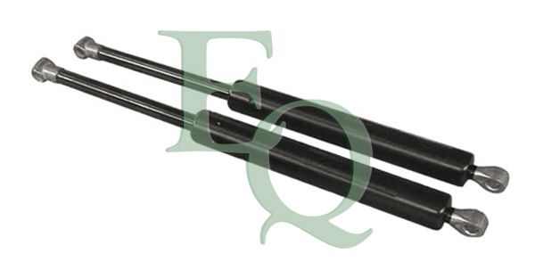 EQMG16011