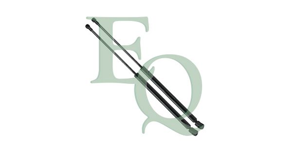 EQMG21021