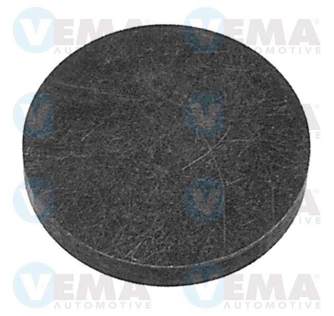 VEMA15370
