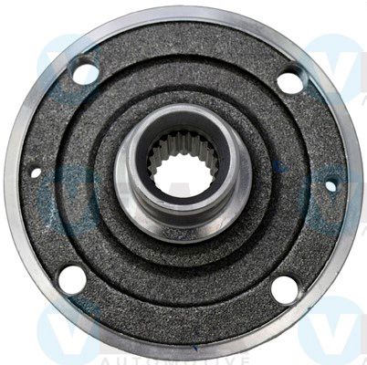 VEMA17787