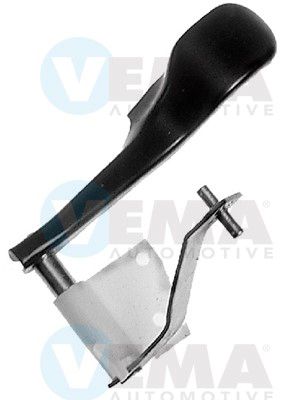 VEMA13215