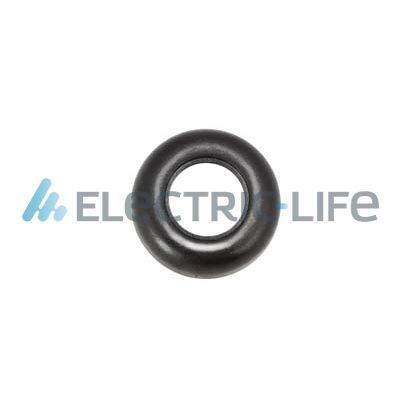 ELLIZR11090
