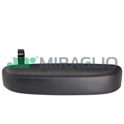 MIRG80/489