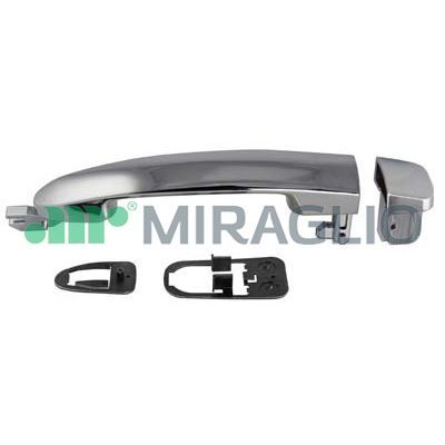 MIRG80/590