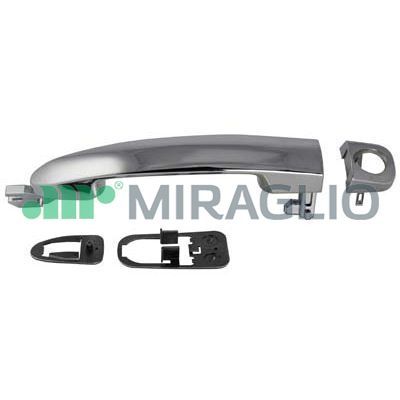 MIRG80/591