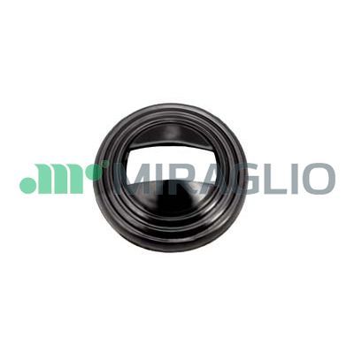 MIRG60/19