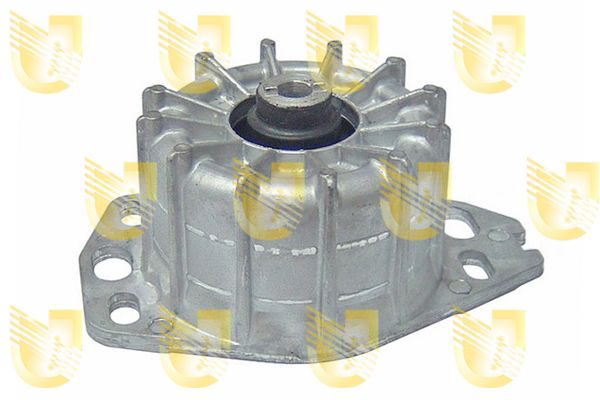 UNIG395396
