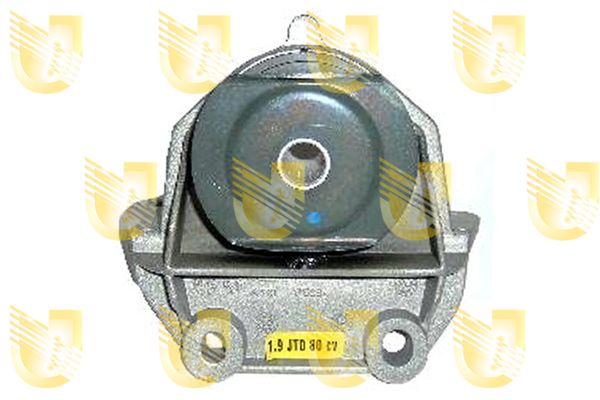 UNIG395495