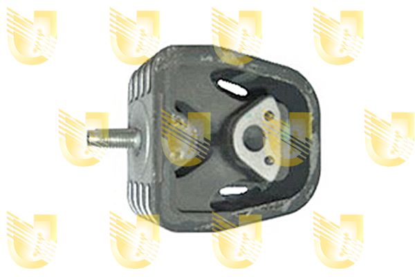 UNIG396681