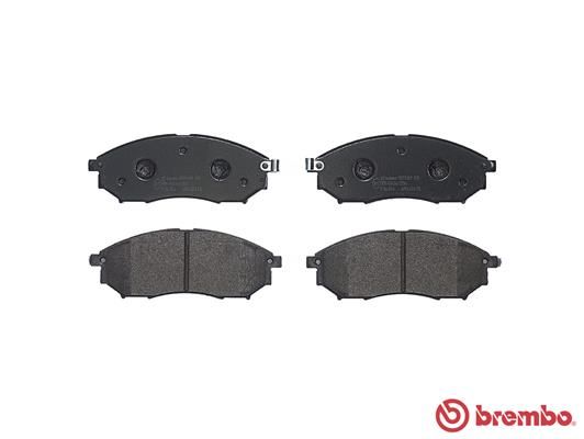 BREMP56094