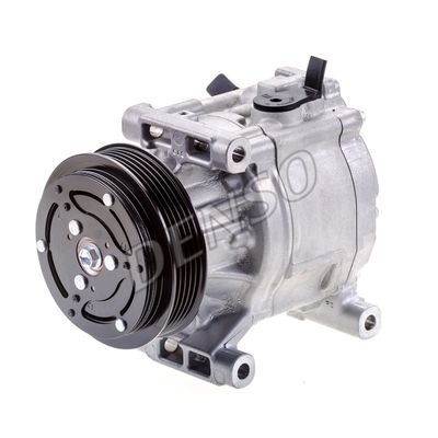 DENSDCP09061