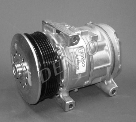 DENSDCP09020