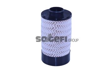 TECNN501